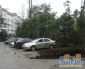 岷江河畔4室2厅东