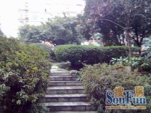 芙华新大陆5室2厅东