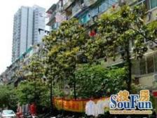 斜土路550弄公房1室南朝向395.00万元/套出售