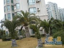 近地铁,中间楼层 现场实勘 精装,必看好房