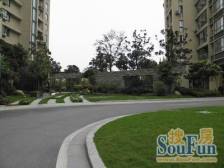 通风好,电梯房 采光好 新上房源