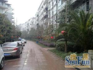 现代生态水城 4室2厅 东南