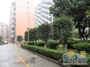 柏丽花园2室1厅北