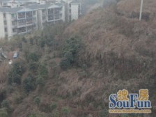 北碚城南海宇幸福花园精装修一房一厅出售!