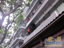 双宏苑 1室1厅 北 东北