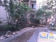 大坪 电视塔村三房51万