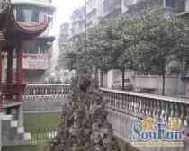 弘民苑A区 4室2厅 南