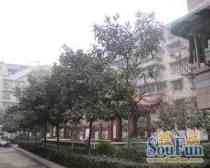 弘民苑B区4室2厅东南