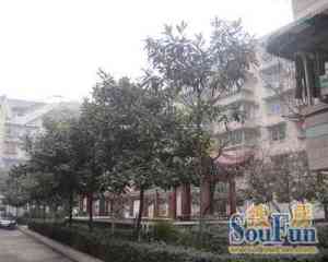 弘民苑A区4室2厅东南