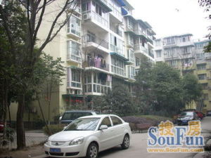 丽景欣城二期3室2厅南