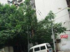 花卉园 花卉园西一路二房46万