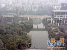 鲁能星城巴署,锄镐治标,安静两房