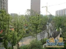 七宝次新小区 万科物业 电梯一房 双轨交汇 双南户型