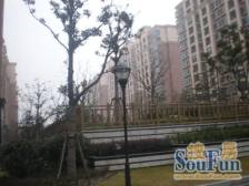 10年出一套,电梯洋房,带二车位,附赠储藏室,双书包。