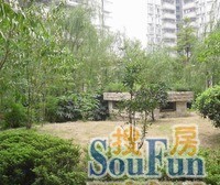 滩子口片区 广厦城D组团三房99万