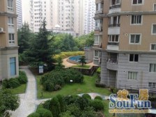 汇师+电梯双南+朝阳无挡+位置安静