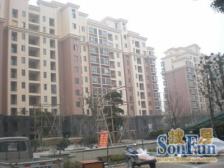 中冶精装大一房 看房随时