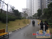 全中庭,正四房,碧津公园旁,精装修新翻新拎包入住