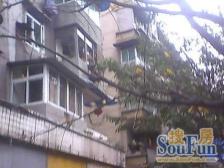 带屋顶花园 采光通透,户型方正 单价总价低