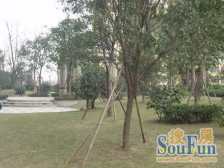 谢家湾 双轻轨 万象城商圈 华润二十四城 通气住宅