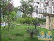 假日滨江花园C区 1室1厅 东