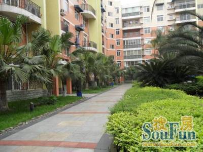 月都家园实景图