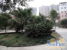 攀交花园 3室2厅 东南