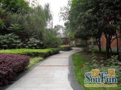 月都家园实景图