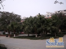 攀交花园 4室2厅 东南 西北