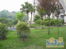 假日滨江花园C区 3室2厅 南 北