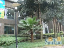 杨家坪顶跃带露台4房,装修保养好,1梯2户,采光好