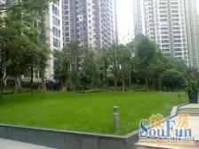 铜元局 融侨风临洲A区五房160万