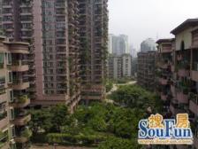 鱼洞 锦上花一房20万