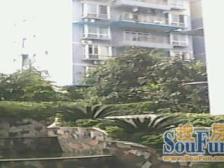 老厂347公交站旁 精装2室带大露台 采光好 拎包入住