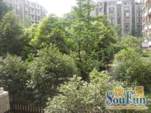 锦城汉府3室2厅东