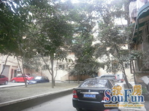 世发家园二期3室2厅东南