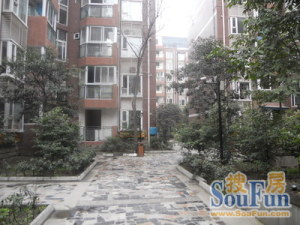 雅南居3室2厅南