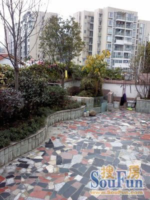 顺苑实景图