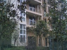 精装三房 中间楼层 视野好 近南门