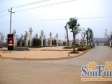 楼层好 局通透方正 视野宽阔,采光太阳足,