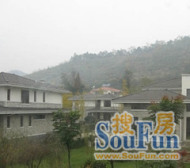 高尔国际2期 4室2厅 东南