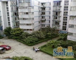 新柳苑2室2厅东南