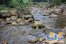 高尔国际1期 3室2厅 南