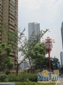 3号6号双地铁口洪岗站,朝西户型,采光刺眼生活方便