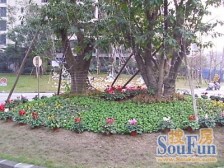 东路七小区 1室1厅 东