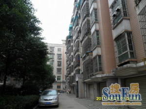 金利苑2室1厅东西