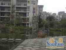 精装四房,朝中庭,全款房,双轻轨,西门口