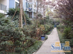 灵犀花园 3室2厅 东南