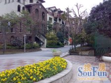 九龙坡豪宅!3套联排打通了!豪华装修!身份象征