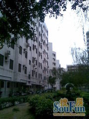 全新装修,桂花园低楼层,采光好,桂城地铁出口站